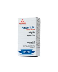 AMCEF 1 G INYECTABLE 3.5 ML